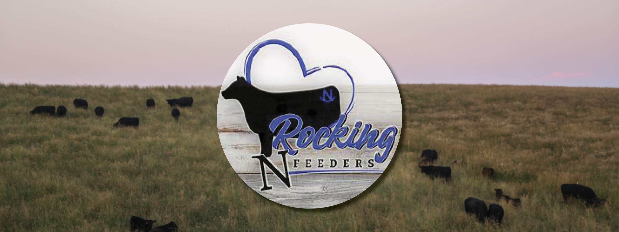 Rocking N Feeders logo with farm background